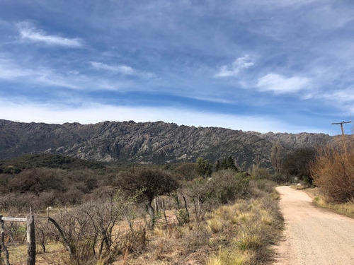 Lote Venta Cortaderas Merlo San Luis