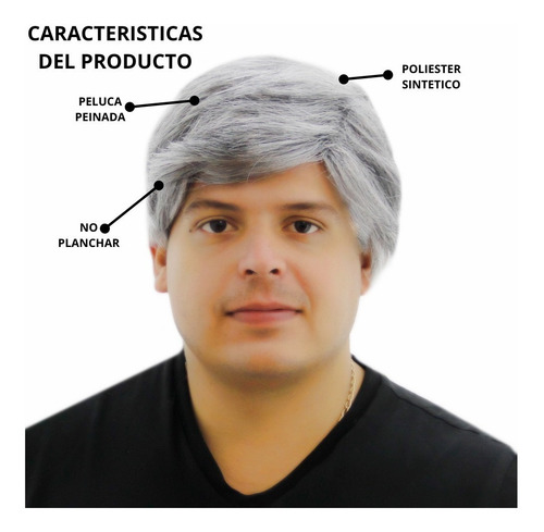 Peluca De Politico Amlo Andres Manuel Presidente Gris Hombre