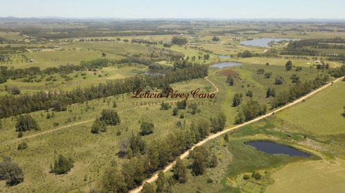 Imagen 10 de 21 de Chacra En Venta En Manantiales Ruta 104, 30 Has
