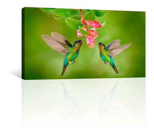 Cuadro Decorativo Animales Canvas Pajaros Colibríes Comiendo