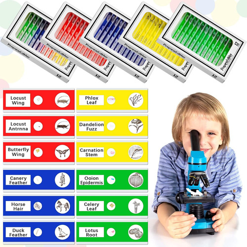 120 Piezas De Diapositivas De Microscopio Preparadas Para Ni