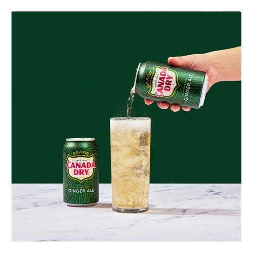 Refresco Canada Dry Ginger Ale 12 Pack Lata 355ml Sin Cafein