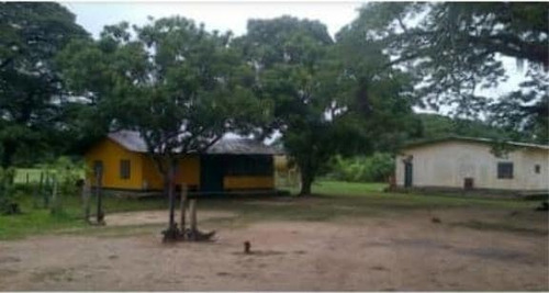 Imagen 9 de 14 de Finca En Venta En Edo. Barinas, Arismendi