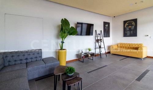 Renta Departamento En The Loft Distrito Uno