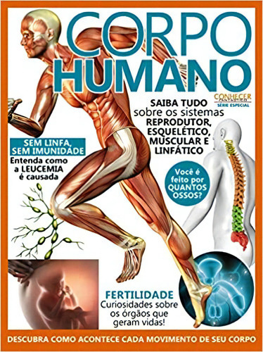 Corpo Humano, De Onl. Editora Online, Capa Mole Em Português, 2021