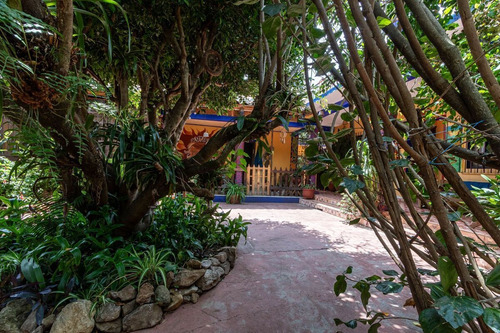 Oportunidad De Inversión Colonial En El Corazón De San Cristóbal De Las Casas