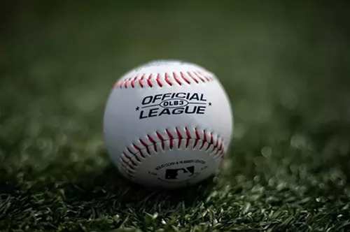 Pelota Baseball Rawlings Beisbol Profesional Entrenamiento