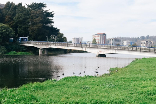 Ongolmo 1201, Concepción, Chile