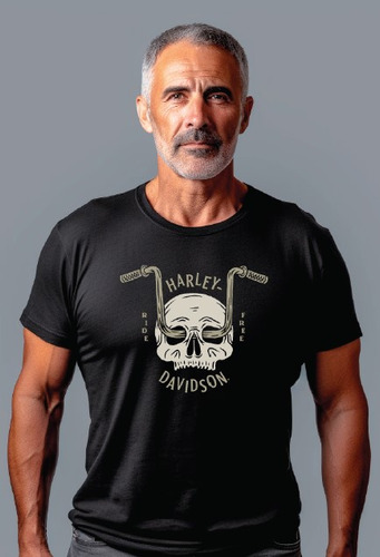 Camiseta Brasilia Harley-davidson Lab015-23vm