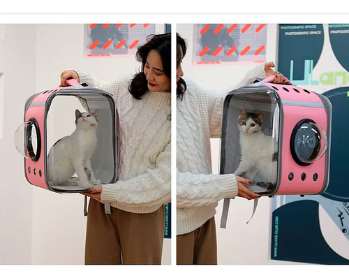 Mochila Gato Pet Cachorro Com Visor E Ventilação Rosa Luxo
