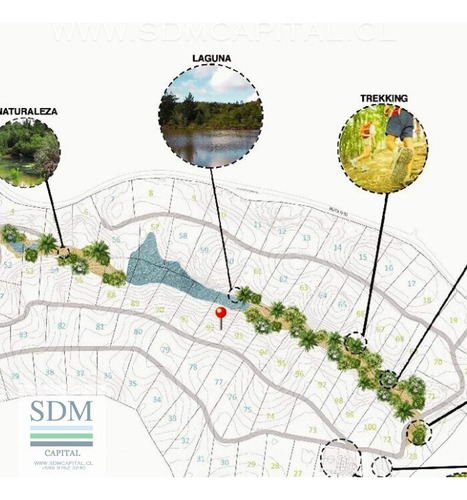 Venta Terreno - Sitio 5000mts Cobquecura Ñuble