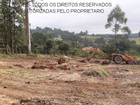 Imagem 14 de 22 de Terreno - Te00125 - 34466729