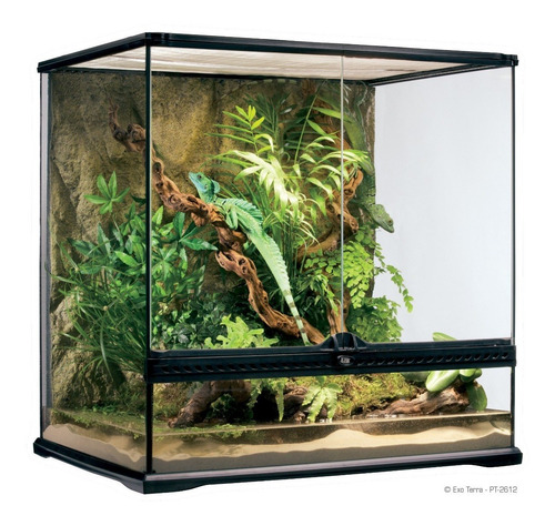 Imagen 9 de 10 de Terrario P/ Reptiles Insecto Small Wide Exo Terra 45x45x45cm