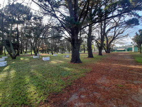 Venta De Camping - Ruta 226