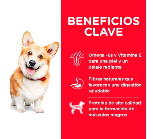 Imagen 9 de 11 de Alimento Perro Croquetas Raza Pequeña Sabor Pollo 6.8 Kg Hil