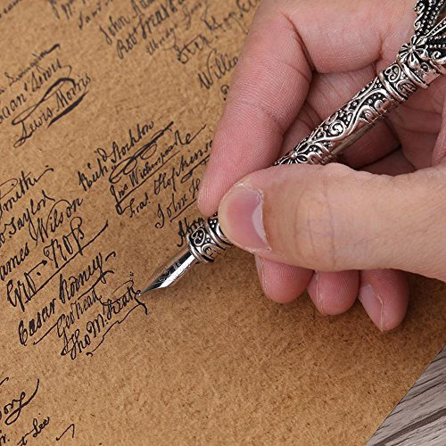 Juego De Pluma De Ave Nibs Y Botella De Tinta (no Inclu...