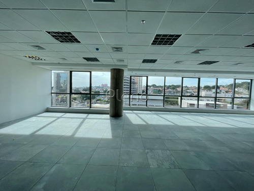 Imagem 5 de 14 de Sala Para Aluguel Em Cambuí - Sa034102