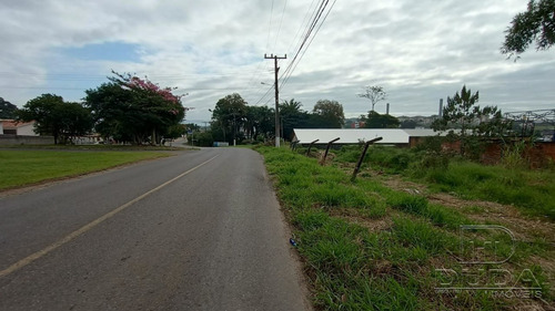 Imagem 9 de 15 de Pavilhao - Vila Manaus - Ref: 37482 - V-37479