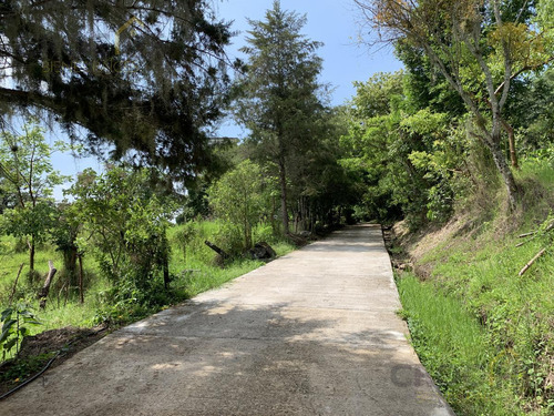 Rancho En Venta La Concepción Ver, 15 Mins De Xalapa Ver.