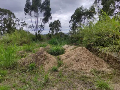 Terreno en venta