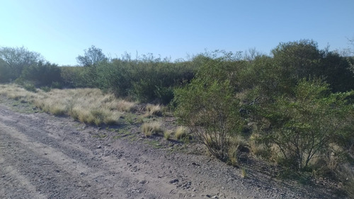 Vendo Terreno/lote En Valle Grande, San Rafael, Mendoza