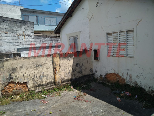Imagem 2 de 7 de Terreno Em Vila Constança - São Paulo, Sp - 366524