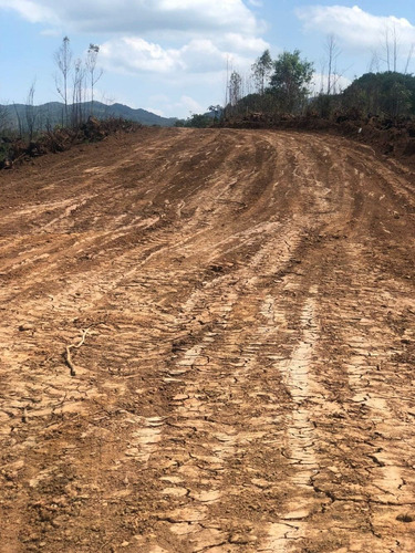 Imagem 4 de 12 de Jl- Atenção