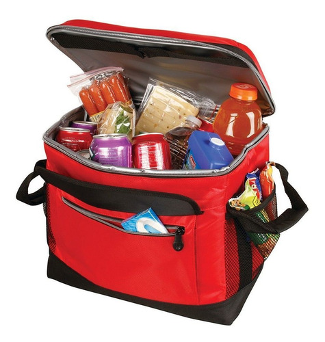 Bolso Térmico Conservadora Coleman Collapsible 40 Latas
