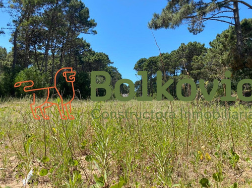 Imagen 6 de 10 de Lote En Venta Pinamar