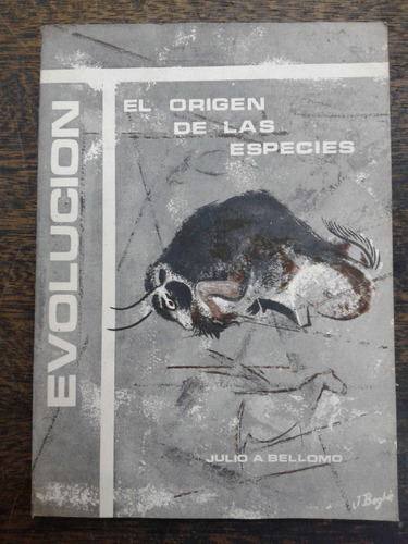 El Origen De Las Especies * Julio A. Bellomo *