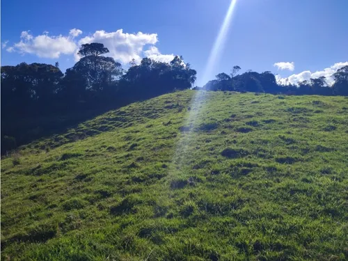 Finca En Venta Carmen De Viboral, Vía La Unión Antioquia 50 Cuadras.