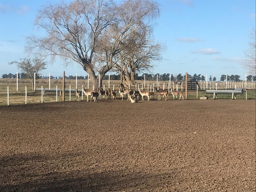 Imagen 26 de 29 de Campo En Venta En Magdalena Ruta 11 Dacal Bienes Raices