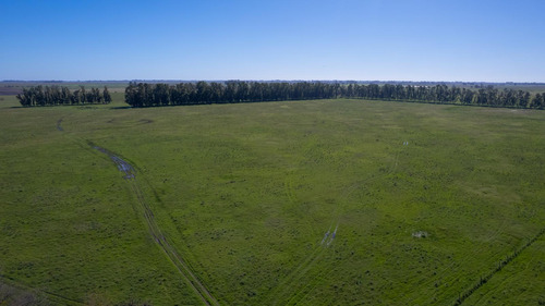 Campo En Venta Mixto 188ha San Andres De Giles
