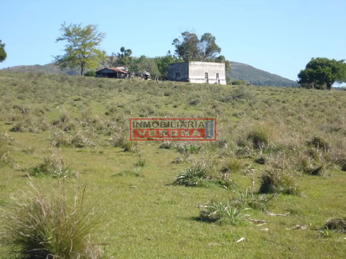 Campo 96 Has En Carape Cuenta Con Costa De Arroyo.