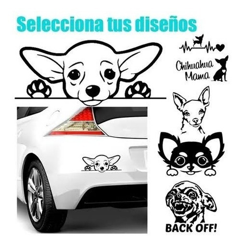 Kit Vinil Sticker  Perro Chihuahua 5 Pz Calcomania Pegatina