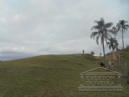 Imagem 3 de 15 de Area - Parque Imperial - Ref: 8800 - V-8800