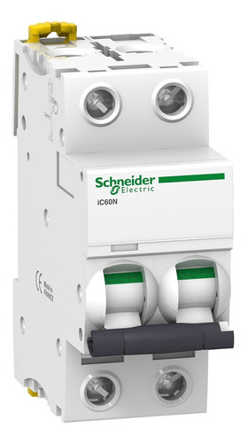 Llave Termica Bipolar Schneider Termomagnetica Ic60n 2x20 A