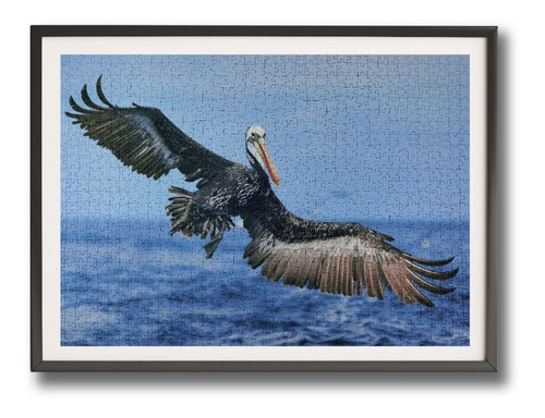Imagen 4 de 4 de Puzzle 1.000 Piezas Animales: Pelicano Fauna Chilena