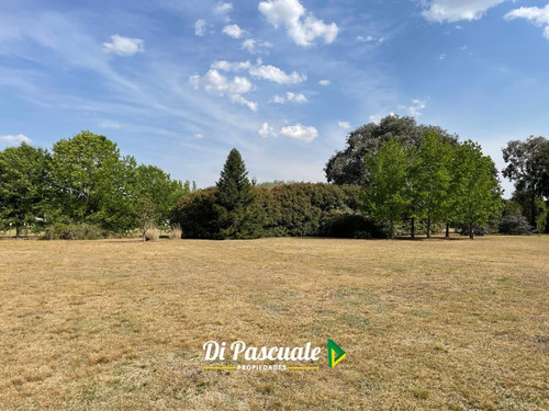Imagen 7 de 26 de Chalet De Categoría Sobre 10.000 M2 - Chacras Los Robles De Carlos Keen