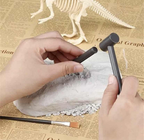 Kit De Paleontología Excava Un Dinosaurio