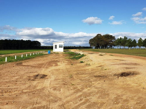 Imagen 3 de 21 de Terreno Campo En Venta Ubicado En Montevideo, Montevideo