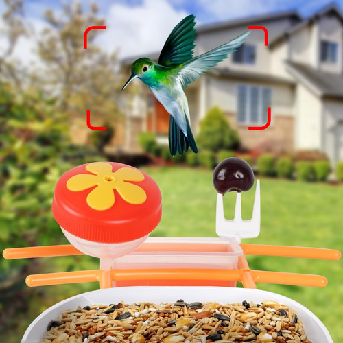Alimentador De Pássaros Com Câmera, 1080p Hd, Grande