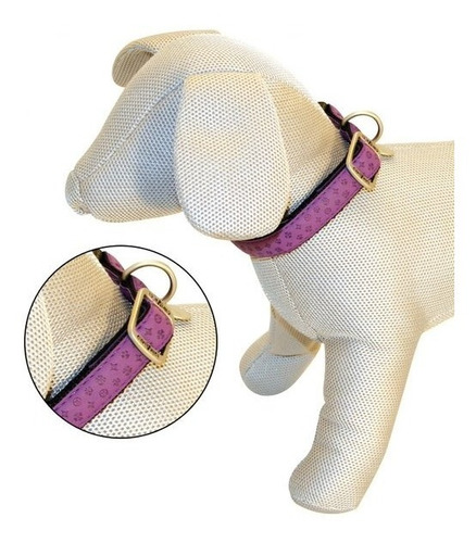 Collar Para Perros Vanity 26 - 40 Cm X 15 Mm - Morado