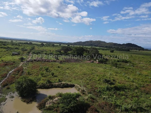 Finca En Venta Sabana De Parra Yaracuy Rah 23-14891 // Invierta Seguro Con Rentahouse//