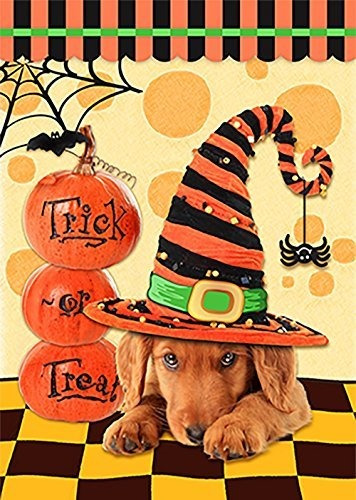 Morigins Perro Feliz Halloween Con Hat Trick Or Treat Decora