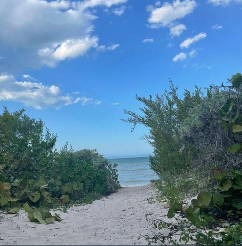 Terrenos En Playa Santa Clara Yucatan Propiedad Privada