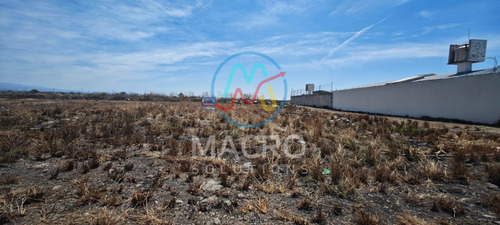 Terreno En Venta En Fracc. Paraíso Tlahuica Completamente Plano Con Conexión A Servicios