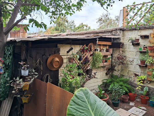 Venta Casa En Gran Terreno Ubicada En Macul. $280.000.000.-
