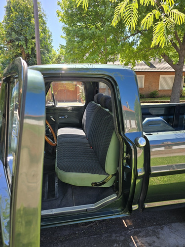 Ford F100