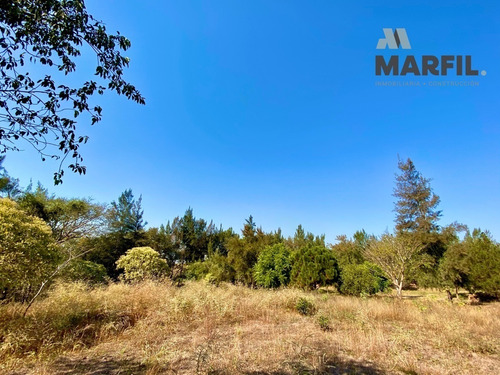 Terrenos Campestres En Venta Residencial Todos Los Servicios Al Norte De Colima